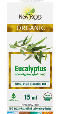 Eucalyptus