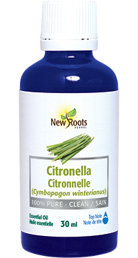 Citronella