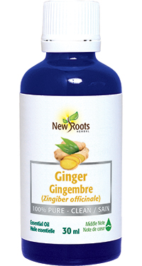 Ginger Essential Oil