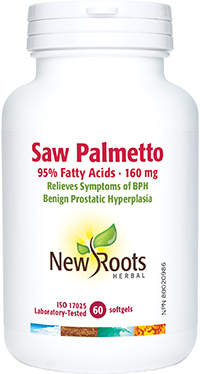 Saw Palmetto